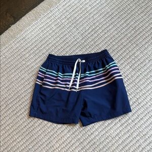 Chubbies Teal and Navy Swim Shorts